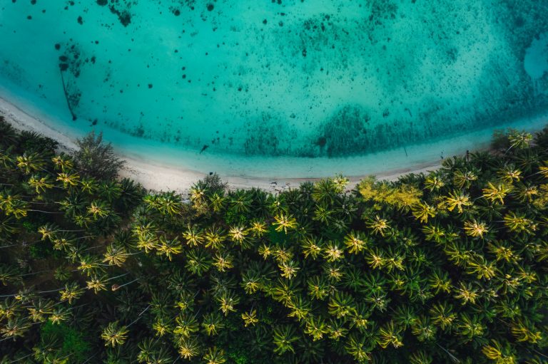 Aerial view island and coconut groves on the island in the morning