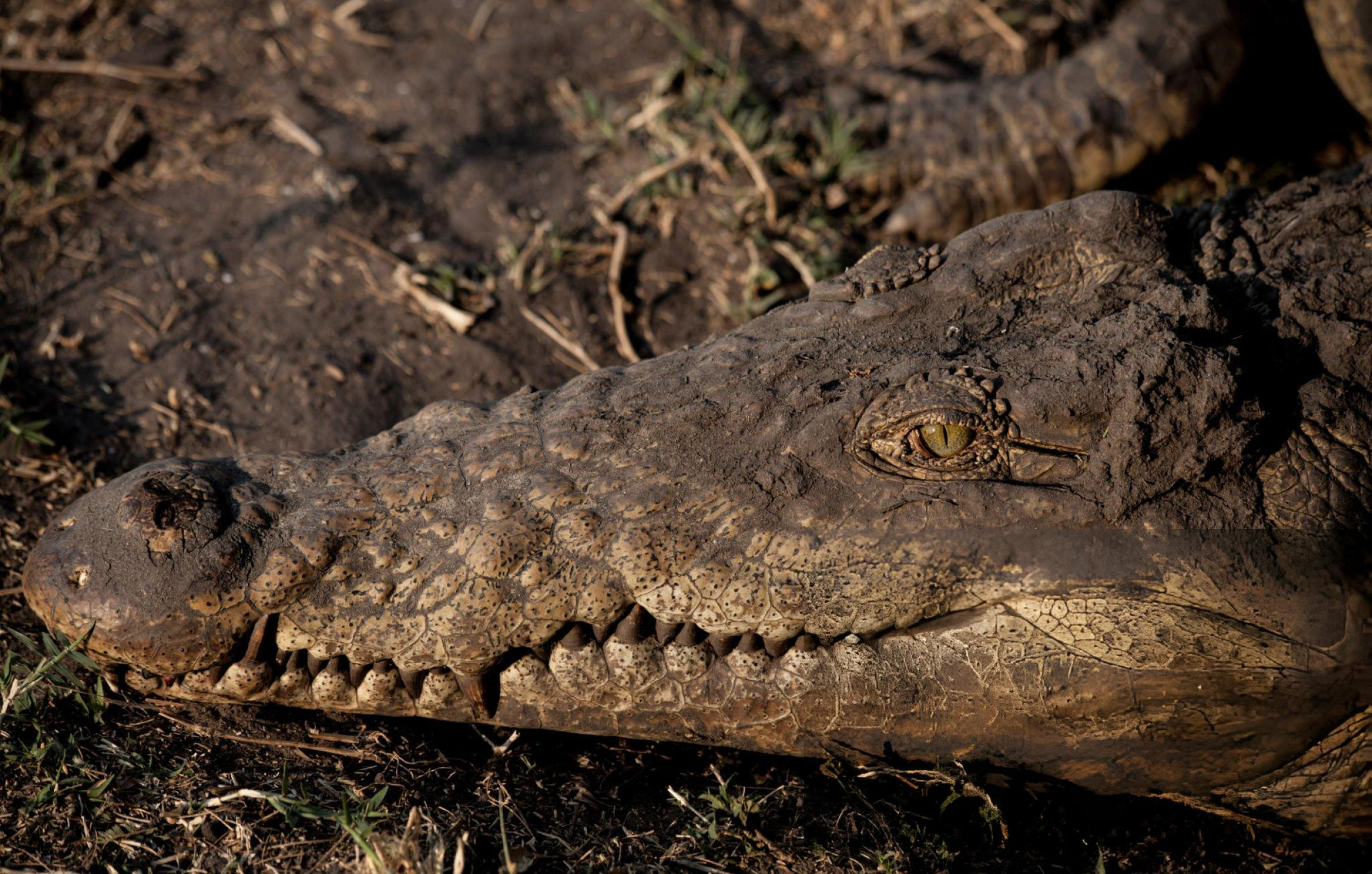 Katavi National Park