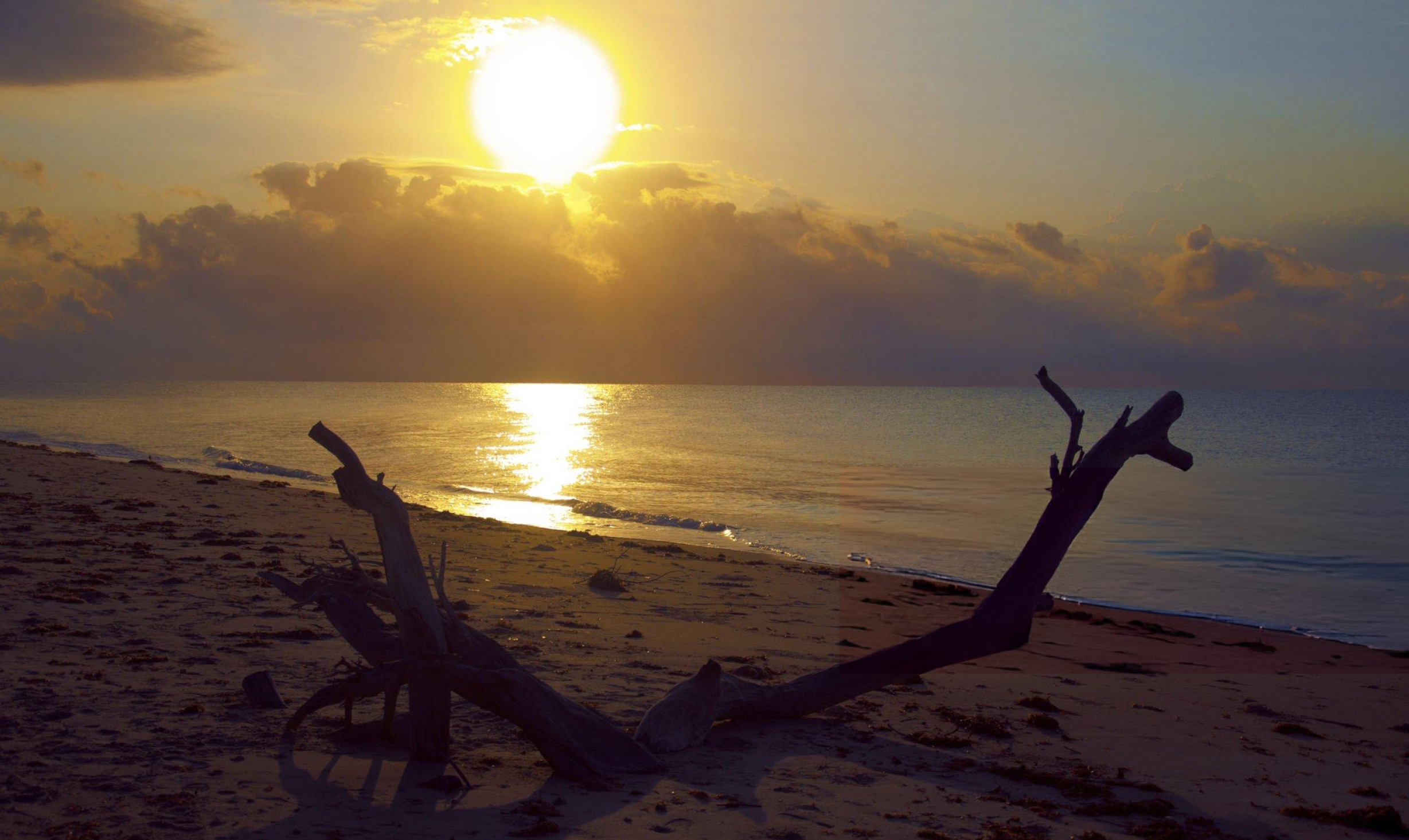 Saadani National Park