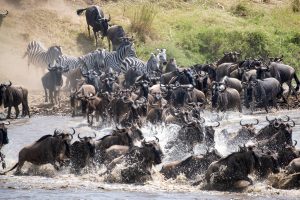 Serengeti National Park