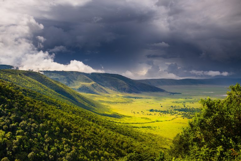 6-Day Deluxe Tanzania Safari