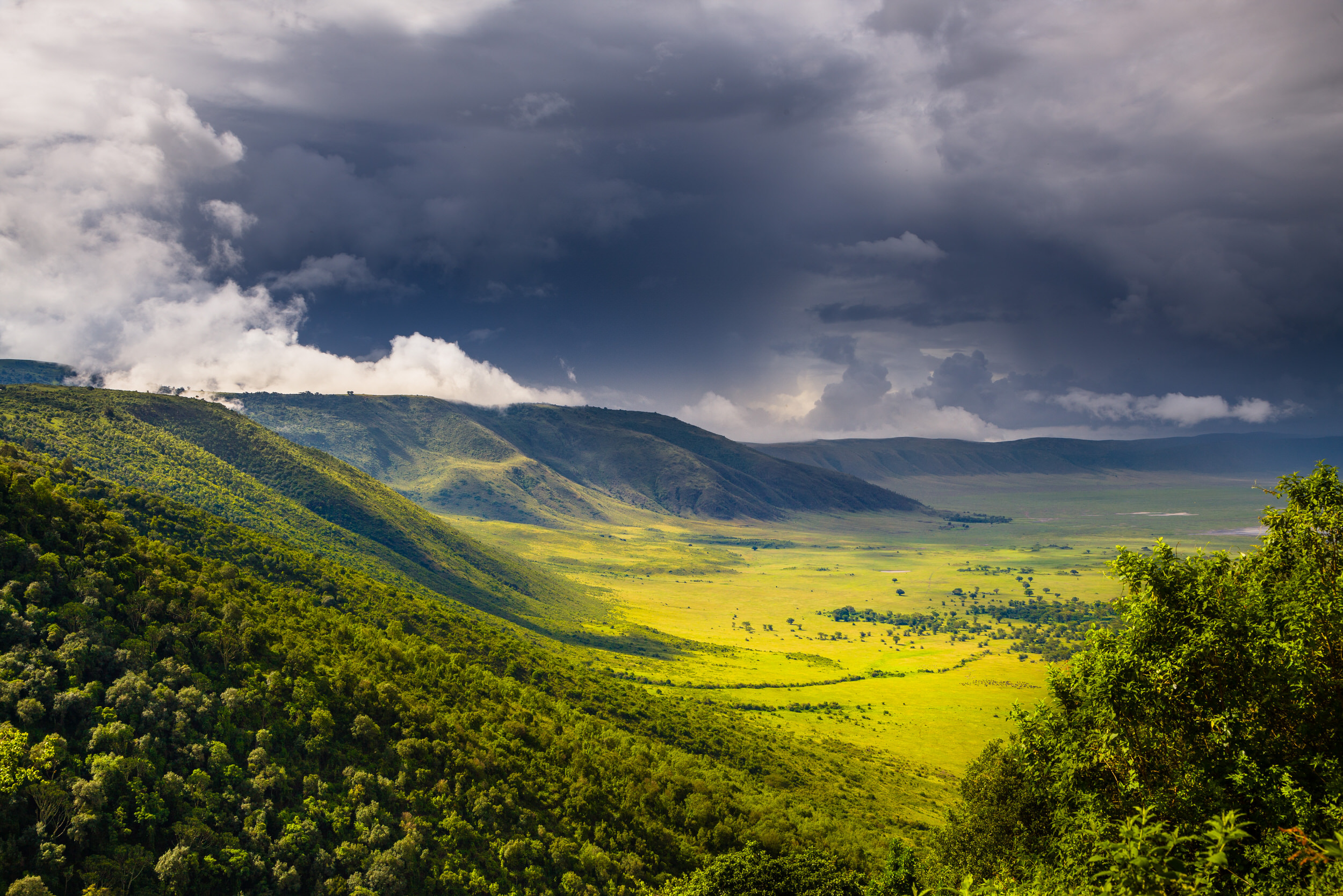 6-Day Deluxe Tanzania Safari