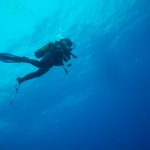 Marine Life Mafia Island