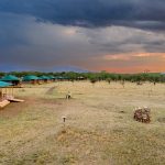 Eco-friendly Lodges and Camps