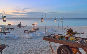 Mnemba Island