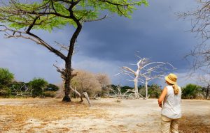 Selous Walking Safari