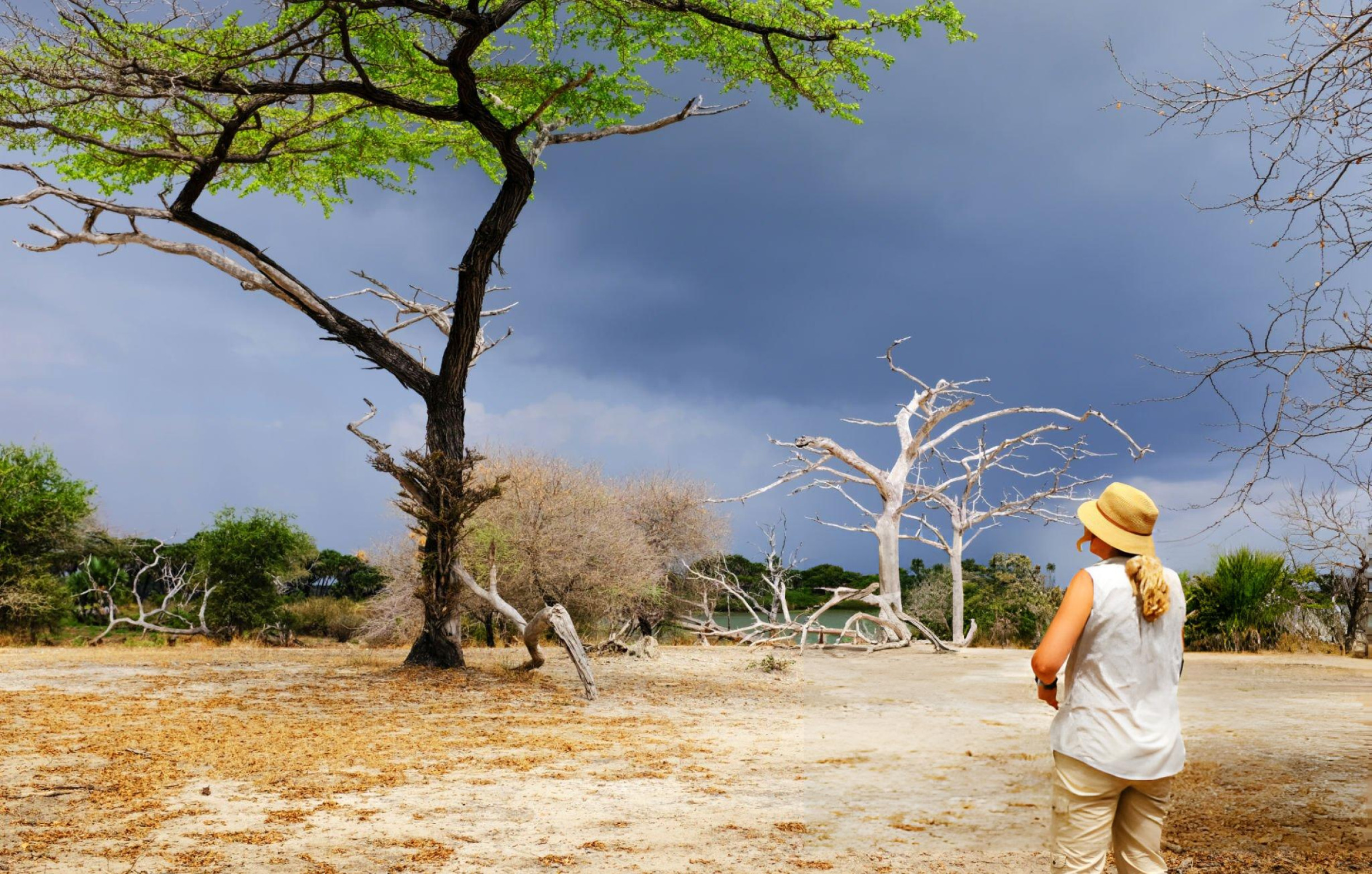 Selous Walking Safari