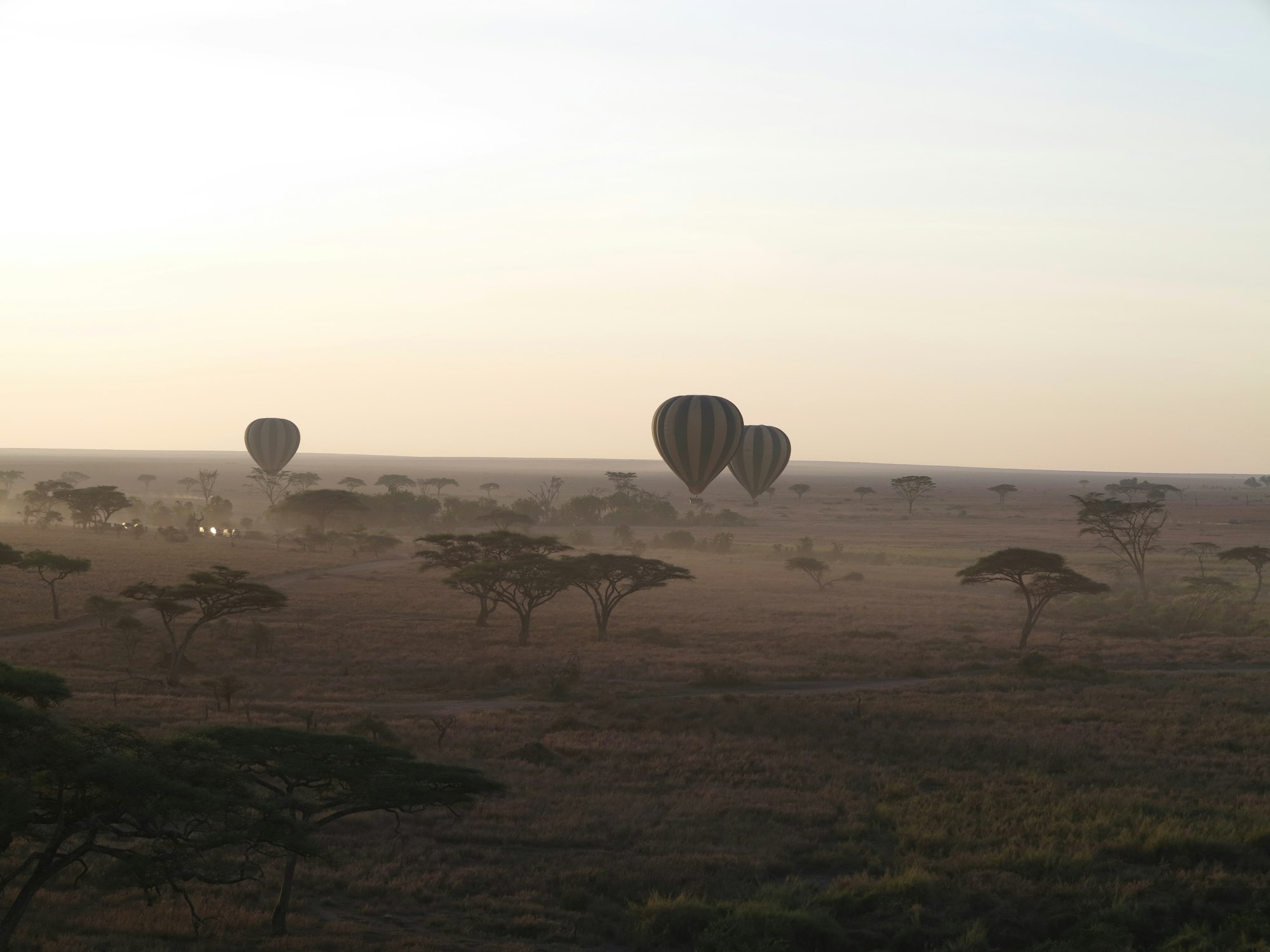 sunrise in the serengeti national park with hot air balloons on horizon